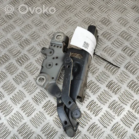 BMW 3 F30 F35 F31 Cerniere del vano motore/cofano 7336699