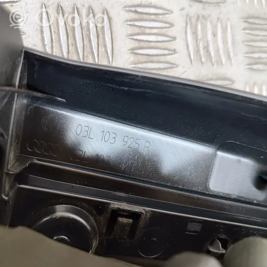 Volkswagen Tiguan Copri motore (rivestimento) 03L103925R