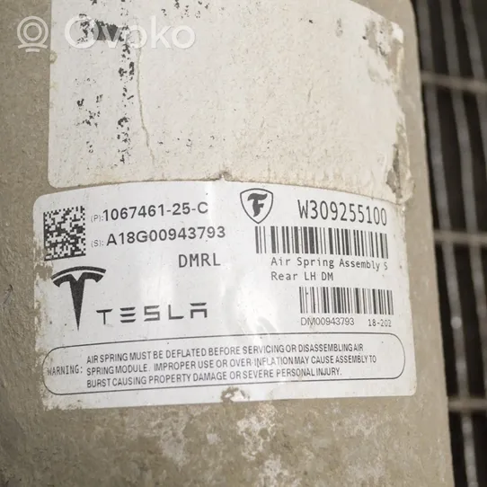 Tesla Model S Amortisseur arrière W309255100