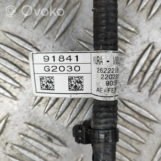 Hyundai Ioniq Parking sensor (PDC) wiring loom 91841G2030