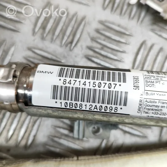 BMW X5 E70 Stogo oro pagalvė (užuolaida) 7141507