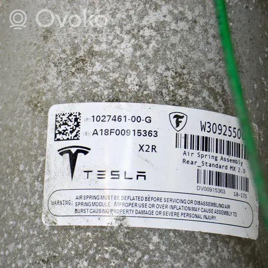 Tesla Model X Ammortizzatore/sospensione pneumatica 102746100G