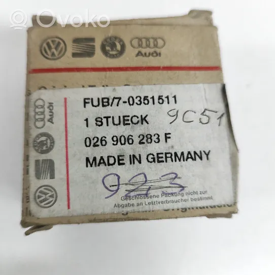 Volkswagen PASSAT Jarrupääsylinteri 026906283F
