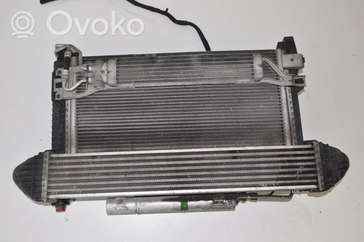 Mercedes-Benz A W169 Klimatyzacja A/C / Komplet A1695002693