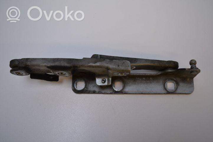 Mercedes-Benz SLK R171 Engine bonnet/hood hinges 1718800228