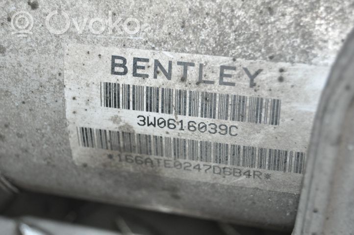 Bentley Continental Amortiguador/suspensión neumática delantera 3W0616039C