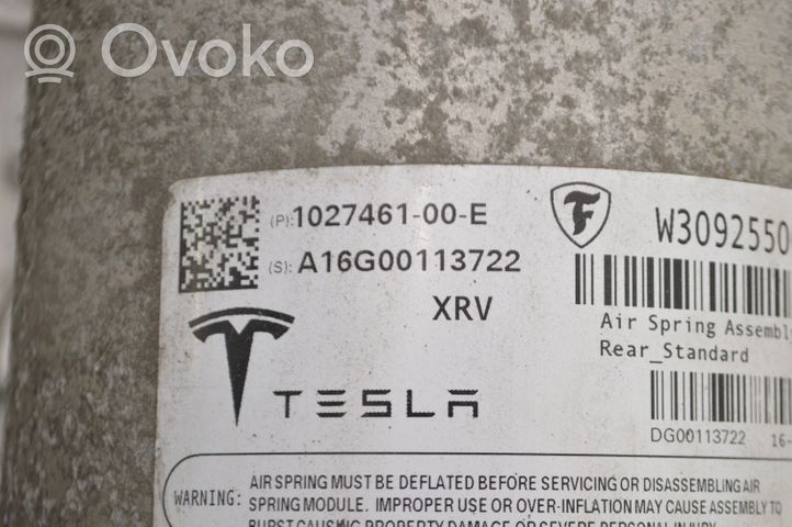 Tesla Model X Amortiguador/suspensión neumática 102746100E