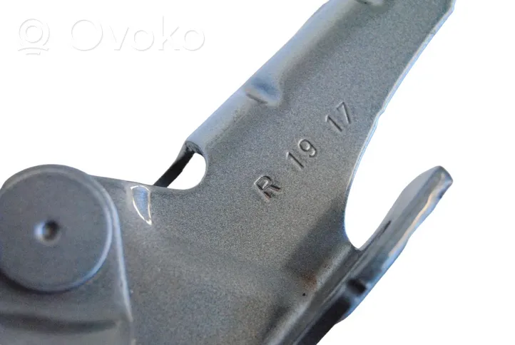 BMW 5 G30 G31 Cerniere del vano motore/cofano 7347408