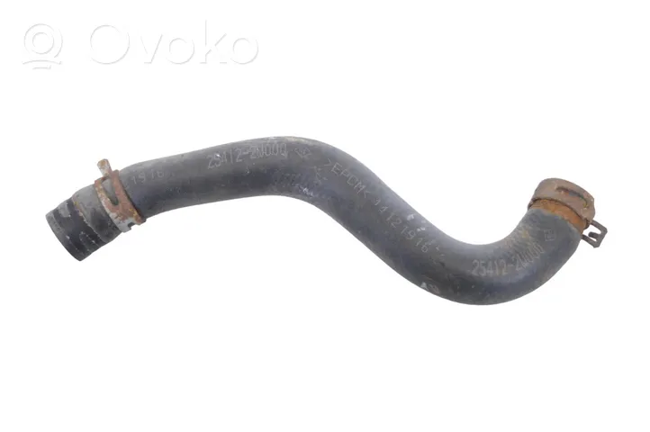 Hyundai Santa Fe Engine coolant pipe/hose 254122W000