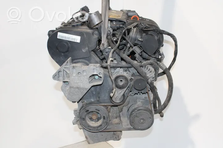 Volkswagen PASSAT B6 Silnik / Komplet BLR