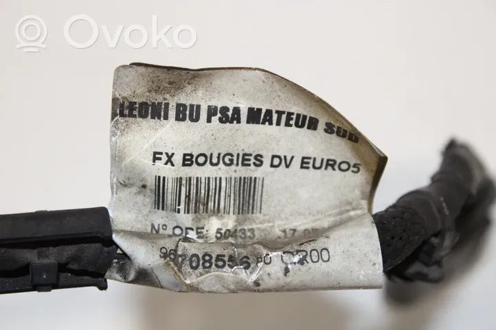 Peugeot 508 RXH Fils de bougie préchauffage 9670855680