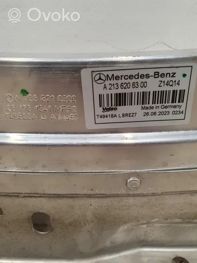Mercedes-Benz E W213 Панель радиаторов (телевизор) A2136206300
