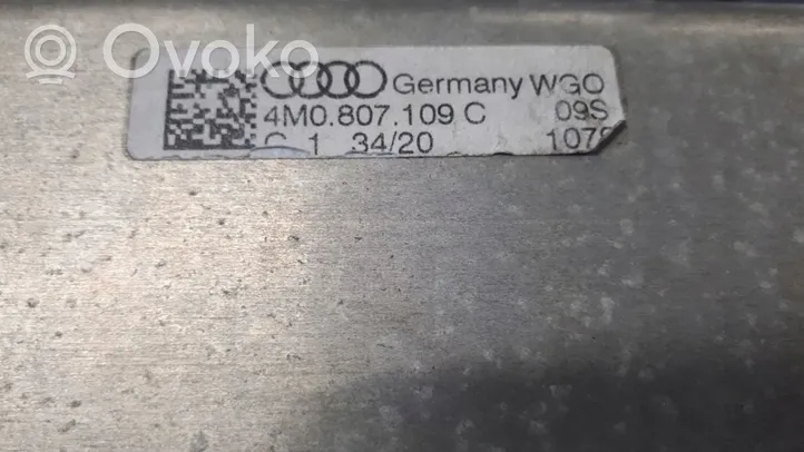 Audi Q7 4M Balkis priekinio bamperio 4M0807109C