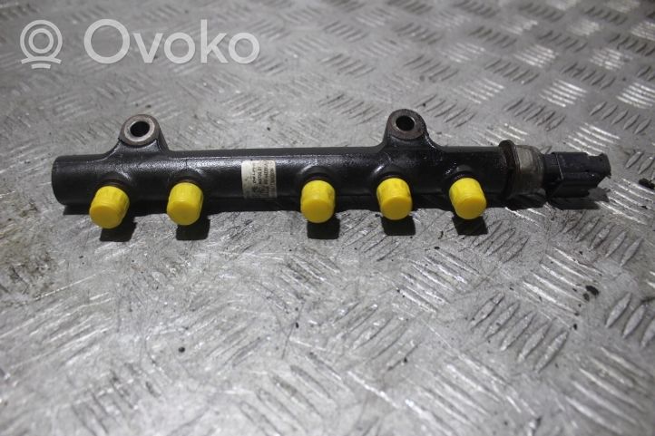 Citroen C4 II Tuyau de conduite principale de carburant 968475308002