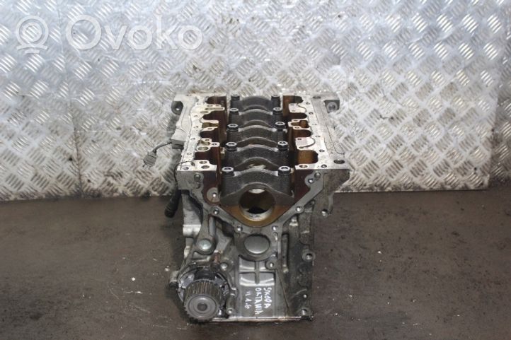 Skoda Octavia Mk2 (1Z) Blok silnika 06B103019