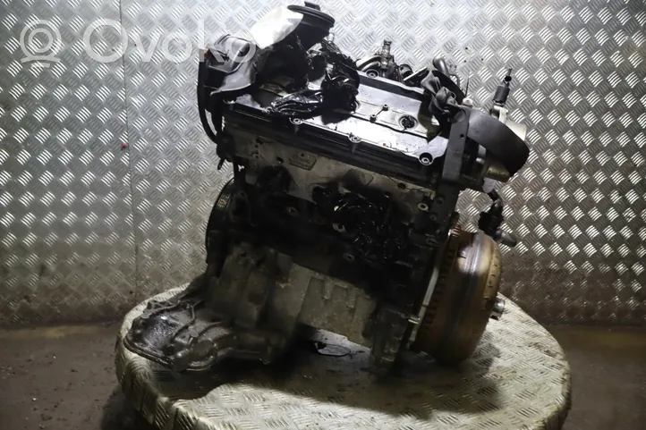 Volkswagen Phaeton Engine BMK