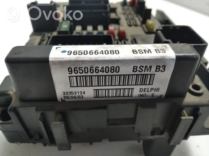 Peugeot 307 Module de fusibles 9650664080