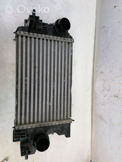 Opel Meriva B Interkūlerio radiatorius 560961104