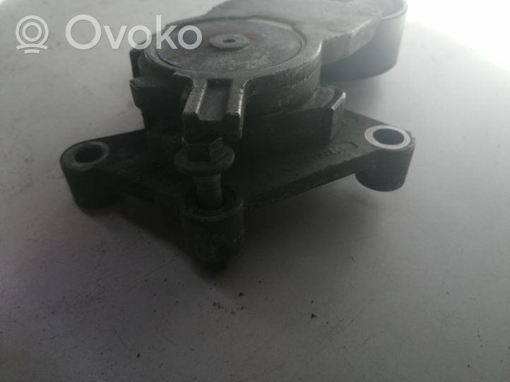 Ford C-MAX I Tendicinghia generatore/alternatore 