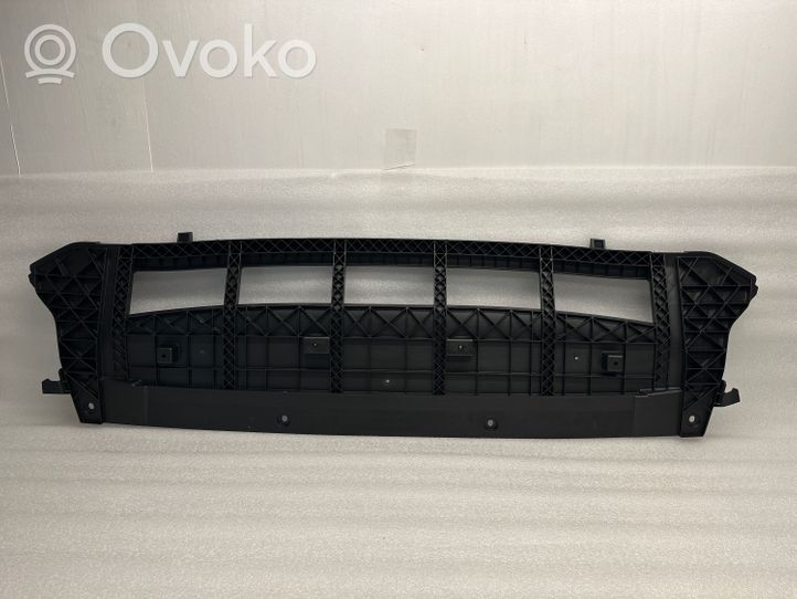 Audi Q5 SQ5 Osłona pod zderzak przedni / Absorber 8R0807233C