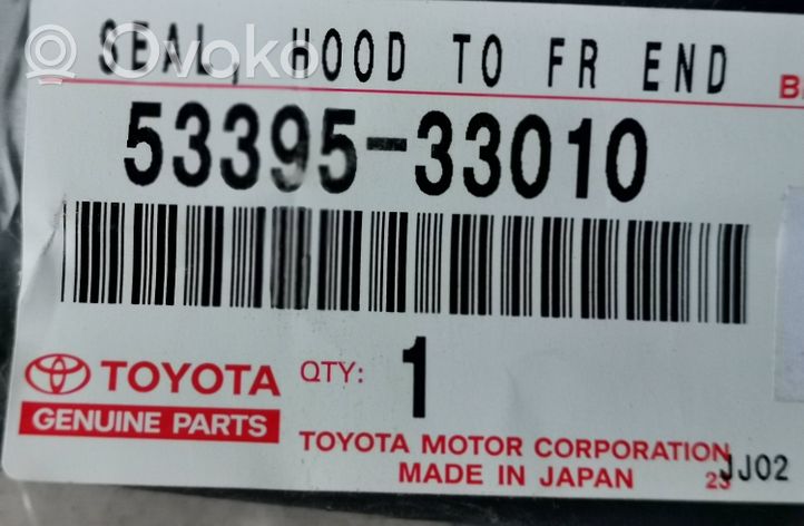 Toyota Camry Autres pièces de carrosserie 5339533010