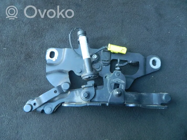 BMW 5 F10 F11 Cerniere del vano motore/cofano 7263056