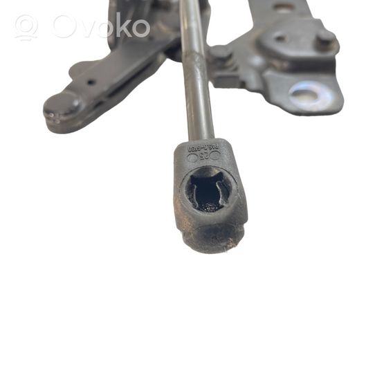 BMW 5 F10 F11 Cerniere del vano motore/cofano 7191327