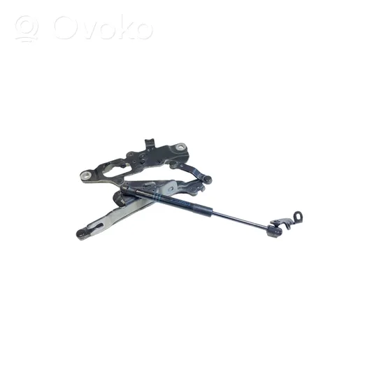 BMW 5 F10 F11 Cerniere del vano motore/cofano 7249887