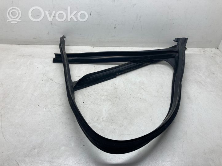 Volvo XC60 Rubber seal rear door window/glass 30762366