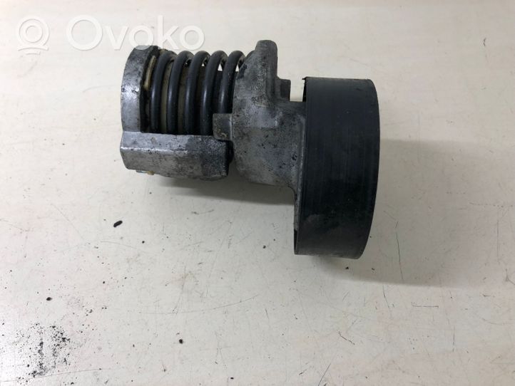 Audi A4 S4 B7 8E 8H Tendicinghia generatore/alternatore 950330