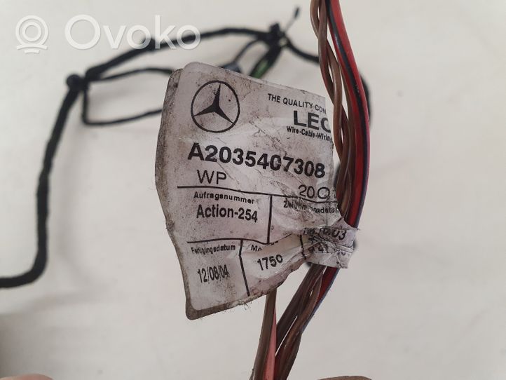 Mercedes-Benz C W203 Wiązka przewodów drzwi tylnych A2035407308