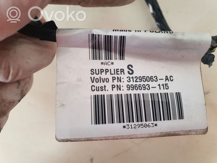 Volvo S40 Wiązka przewodów drzwi tylnych 31295063