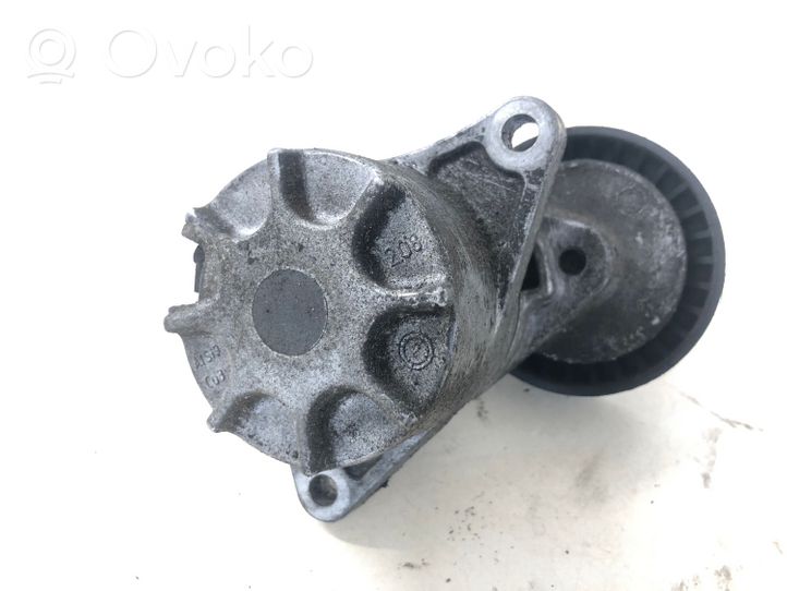 Mercedes-Benz E W211 Napinacz paska wielorowkowego / Alternatora A6112000570