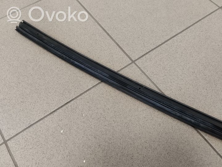 Volvo C30 Front door rubber seal 