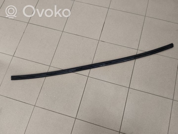 Volvo C30 Front door rubber seal 