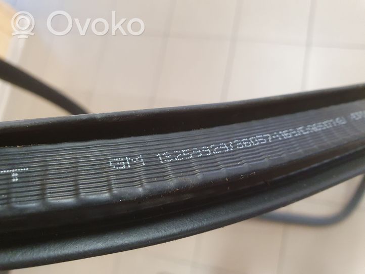 Opel Astra J Front door rubber seal 13259929