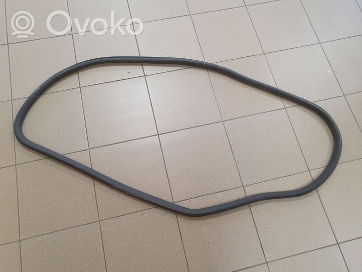 Opel Astra J Front door rubber seal 13259929