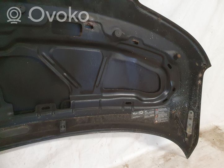 Volkswagen Multivan T5 Engine bonnet/hood 