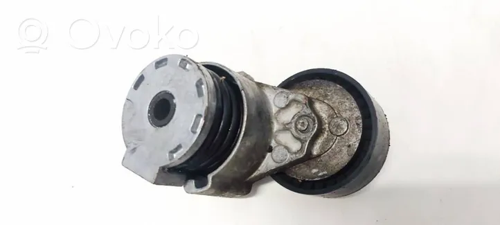 Renault Megane II Napinacz paska alternatora 117503662R