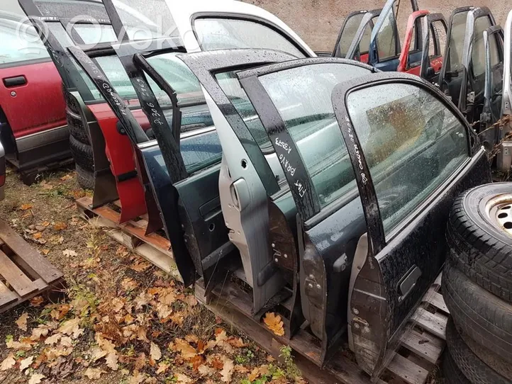 Citroen Berlingo Front door 