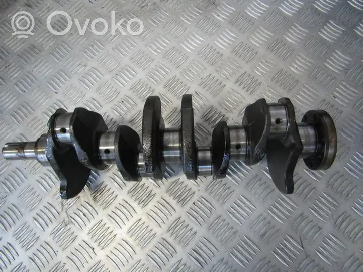 Renault Scenic I Crankshaft 