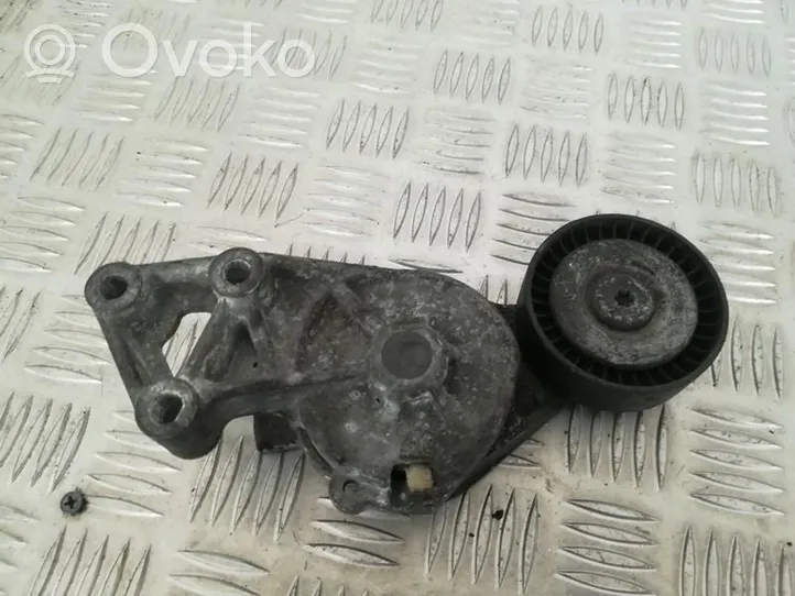 Seat Alhambra (Mk1) Tendicinghia generatore/alternatore 038903315f