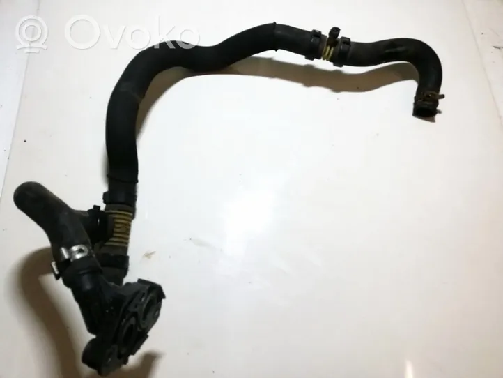 Renault Clio II Engine coolant pipe/hose 