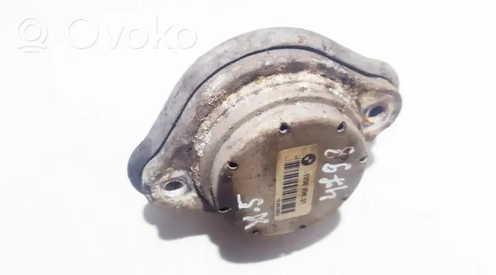 BMW X5 E53 Dzinēja spilvens 109699601