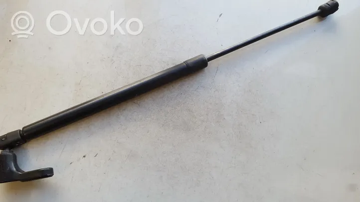 Toyota Voltz Gasdruckfeder Dämpfer Heckklappe Kofferraumdeckel 6894001011