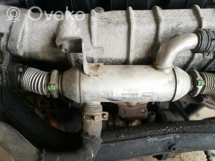 Citroen C5 Chłodnica spalin EGR 9627242880