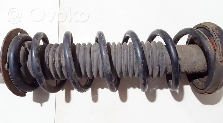 Honda Accord Rear coil spring 