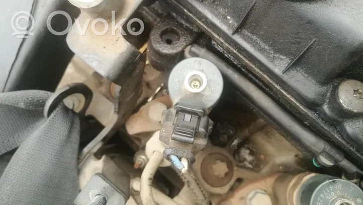 Peugeot 307 Fuel injector 0445110076