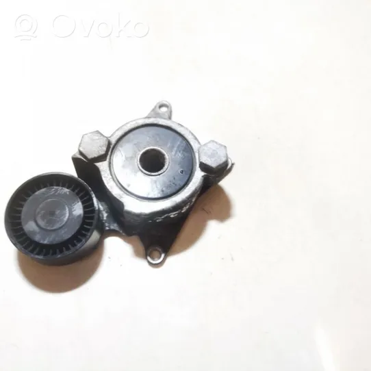 Toyota RAV 4 (XA30) Napinacz paska alternatora 166200r010