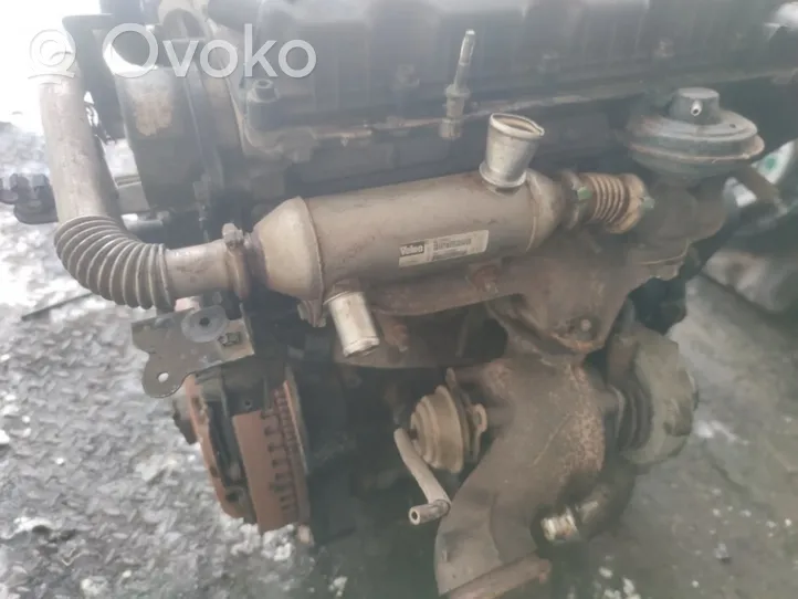 Citroen C5 Valvola di raffreddamento EGR 9631971580